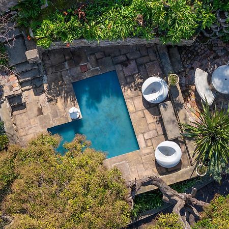 Phoenix Lodge And Waterside Accommodation Knysna Ngoại thất bức ảnh